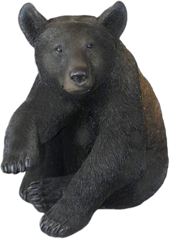 Grosser Braunbär