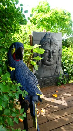 Buddha Reliefbrunnen auf der Terrasse